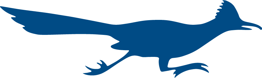Texas-SA Roadrunners 1980-1988 Primary Logo diy iron on heat transfer